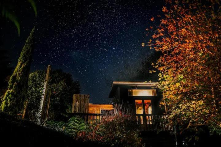 Starry Nights Cabin Fever Waikino Zewnętrze zdjęcie